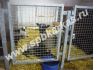 Фото Оборудование для содержания молочных коз овец баранов