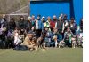 Фото Дрессировка собак в омске