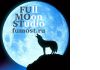 Разработка сайтов по низким ценам - Full Moon Studio