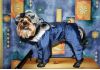 Фото Пошив одежды для собак в интернет магазине Алефтинка