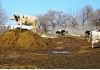 Фото Навоз коровий купить в спб, коровий навоз в мешках
