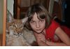Фото Рысь  домашняя  продам ручных котят