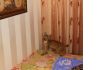 Фото Продам котят Сибирской рыси(домашние).