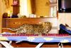 Фото Продаю котят Леопарда (Panthera pardus orientalis). animalsimport.ру. 