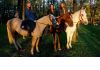 Фото Прогулки на лошадях/обучение/фотосъемка