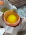 Фото Предлагаем натуральное деревенское яйцо оптом.