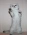 Фото Шотландские вислоухие, британские и манчкин котята