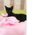 Малюсенький черный котенок в поисках дома 