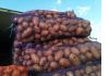 Фото Продам овощи, фрукты (оптом). Арбузы.