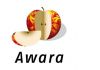 Аутсорсинг бухгалтерии от компании Awara