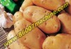 Фото Оборудование для мойки и сушки картофеля