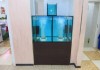 Фото Торговый аквариум для продажи живой рыбы и раков