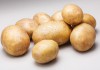 Фото Продадим картофель семенной