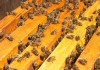 Пчелы среднерусские
