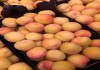 Фото Продаем абрикосы из Испании