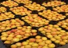 Фото Продаем абрикосы из Испании