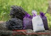 Фото ЛАВАНДА цветы и саше в подарочной коробочке (2 букета и 4 мешочка с цветами)