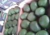 Фото Продаем авокадо из Исапнии