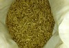 Фото Травяная мука. Натуральный корм для животных