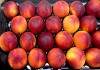 Фото Продаем персики из Испании