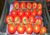 Фото Продаем томаты из Испании