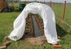 Фото Узкая пластиковая садовая плитка ПластДор - Мини для дорожек на дачном огороде