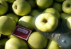 Фото Плодоносящий яблоневый сад в Крыму. 4,8 Га (Свидетельство, документы готовы)