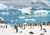 Фото Новый Год в Антарктиде
