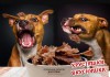 Фото Сушеное кроличье и говяжье мясо для собак. По оптовым ценам в розницу!