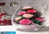 Фото Композиции для интерьера из розовых роз в стекле