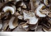 Фото Белый гриб сушеный с Алтая