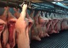 Фото Мясо свинина в полутушах 1 категории оптом