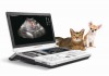 Фото Ультразвуковое исследование внутренних органов кошек и собак