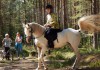 Верховая езда для взрослых и детей в Вырице, Гатчинский район. Иппотерапия. Фотосессии с лошадьми.