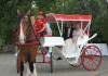Фото Свадебная карета в Самаре