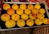 Предлагаем Прямые поставки персика