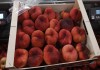 Фото Предлагаем оптовые поставки плоского персика