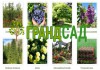 Фото Питомник саженцев, растений и деревьев «ГрандСад»