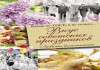Фото Вкус советских праздников. Праздничные блюда по ГОСТу и не только