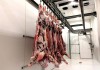 Фото Поставка оптом, мяса говядины, свинины, куриного