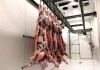 Фото Поставка оптом, мяса говядины, свинины, куриного. Ступино.
