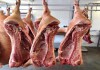 Фото Поставка оптом, мяса говядины, свинины, куриного. Ступино.