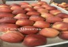 Фото Оптовая продажа яблок разных сортов и калибров