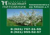 &quot;Северный Плодовый Питомник&quot;: саженцы плодовых деревьев и кустарников в Ломоносовском районе