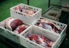 Фото Производство говядины, свинины. Продажа оптом мясо птицы.