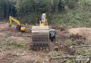 Фото Расчистка 24/7, мульчирование от 1 Га, выкорчевка