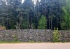Фото Дом в Пушкинских горах рядом с лесом