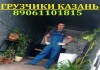 Грузчики