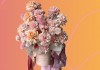 Окунитесь в мир изысканных букетов и цветов с Ella Flowers