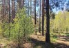 Фото Участок коммерческого назначения с красивым видом в г. Остров Псковской области